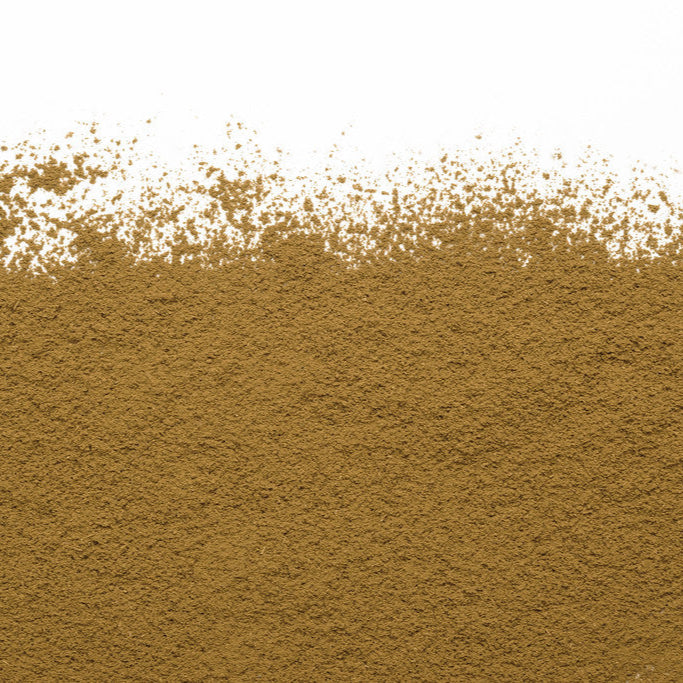 Camellia Sinensis - Hojicha latte