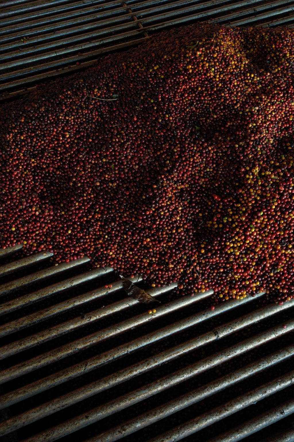 Finca La Soledad