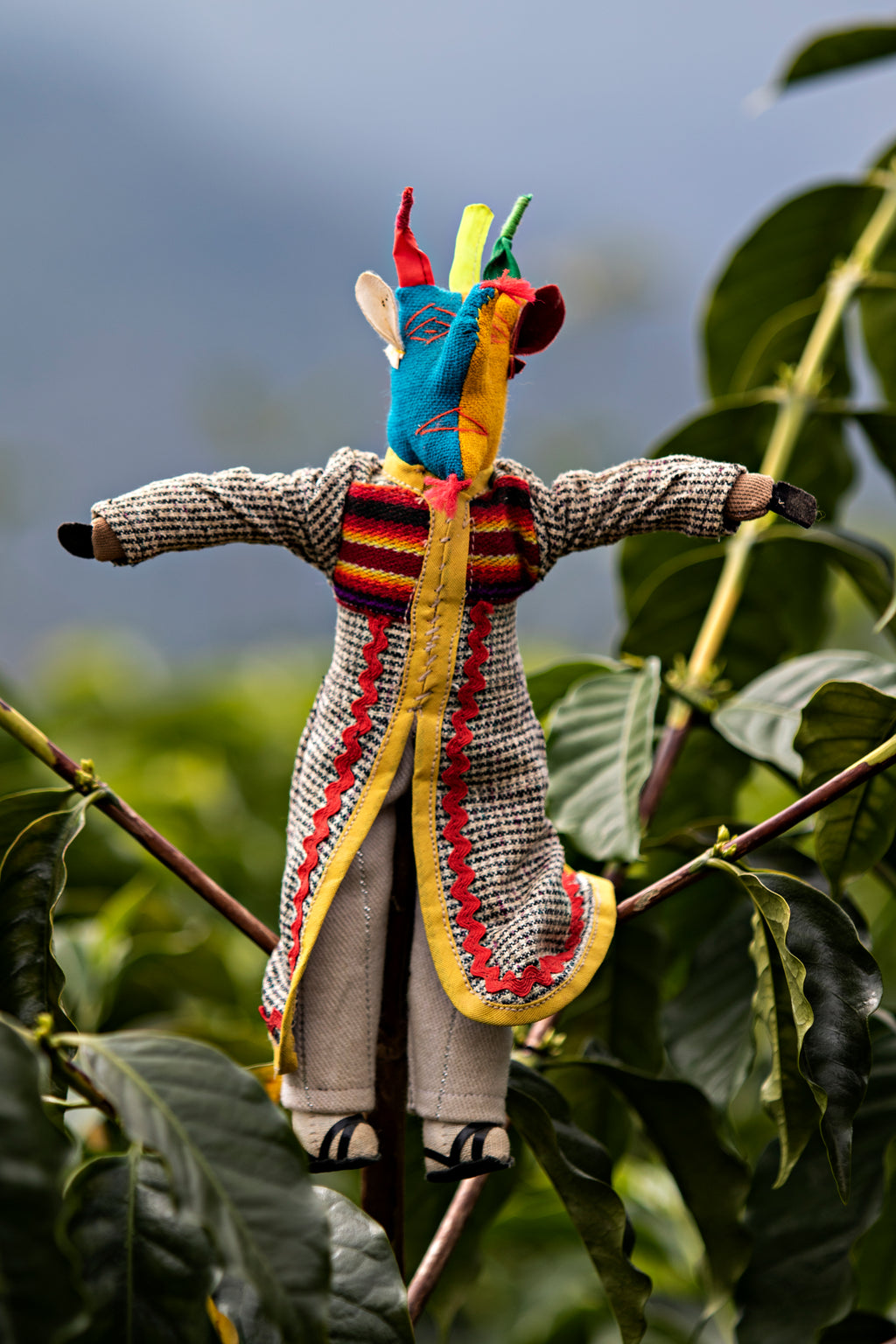 La Linda - Bolivie