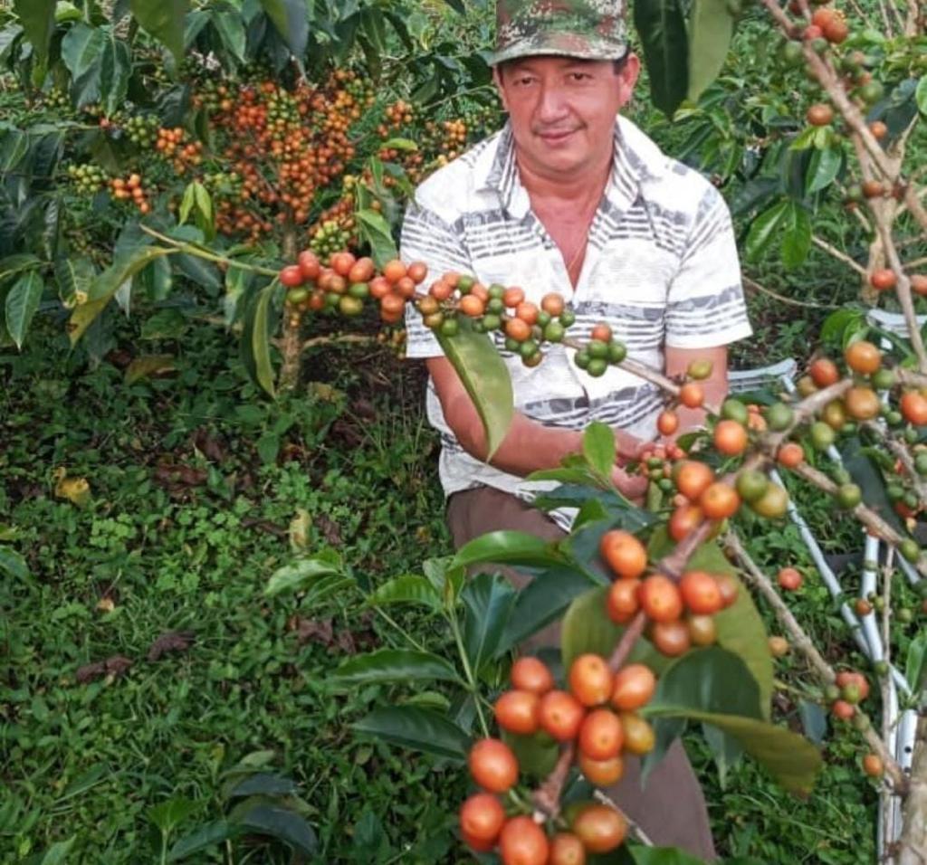 Colectivo - Pastor Ordonez